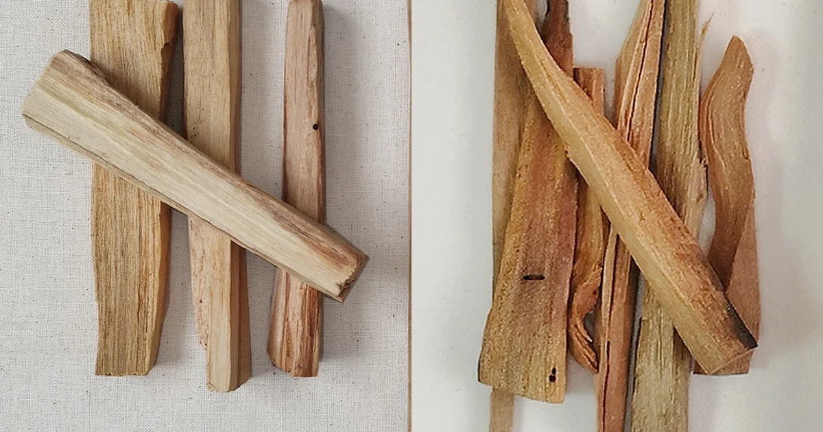 Ağaç Tütsüleri Rehberi: Palo Santo, Sandal Ağacı ve Öd Palo Santo çubukları ve sandal ağacı parçaları