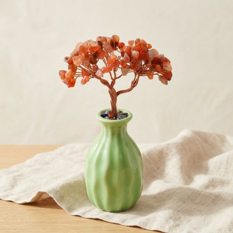 Akik Ağacı, Vazolu, 14,5 cm