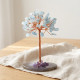 Akuamarin Ağacı, 10 cm