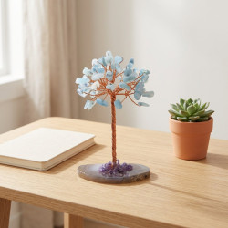 Akuamarin Ağacı, 10 cm Akuamarin Ağacı, 10 cm