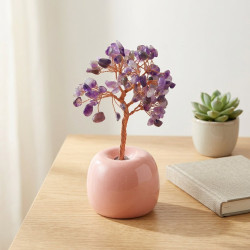 Ametist Ağacı, Vazolu, 13 cm Ametist Ağacı, Vazolu, 13 cm