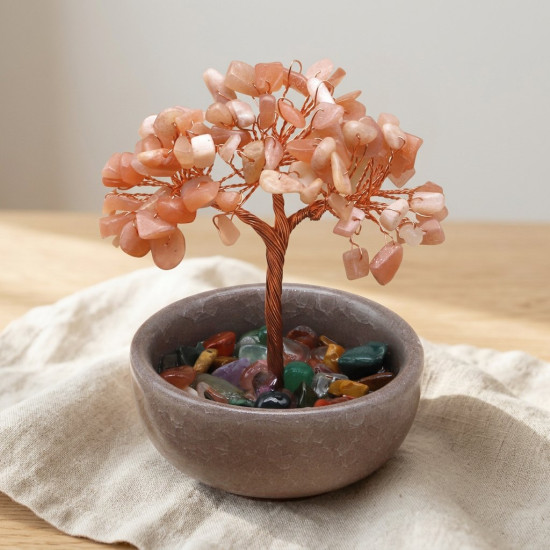 Ay Taşı Ağacı, Kâseli, 10 cm