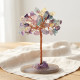 Florit Ağacı, 10 cm