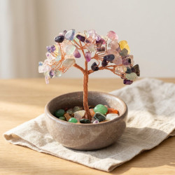 Florit Ağacı, Kâseli, 10 cm