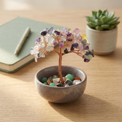 Florit Ağacı, Kâseli, 10 cm Florit Ağacı, Kâseli, 10 cm