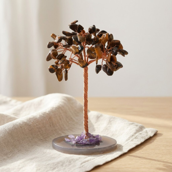 Kaplan Gözü Ağacı, 10 cm