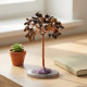 Kaplan Gözü Ağacı, 10 cm – görsel 2/2